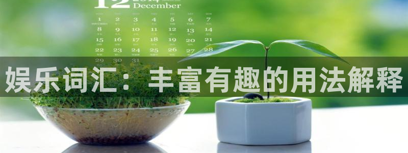 新航娱乐官网：娱乐词汇：丰富有趣的用法解释